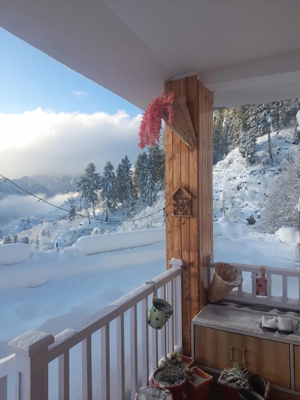 Majestic Himalayan homestay Vacation rental in Himachal Pradesh