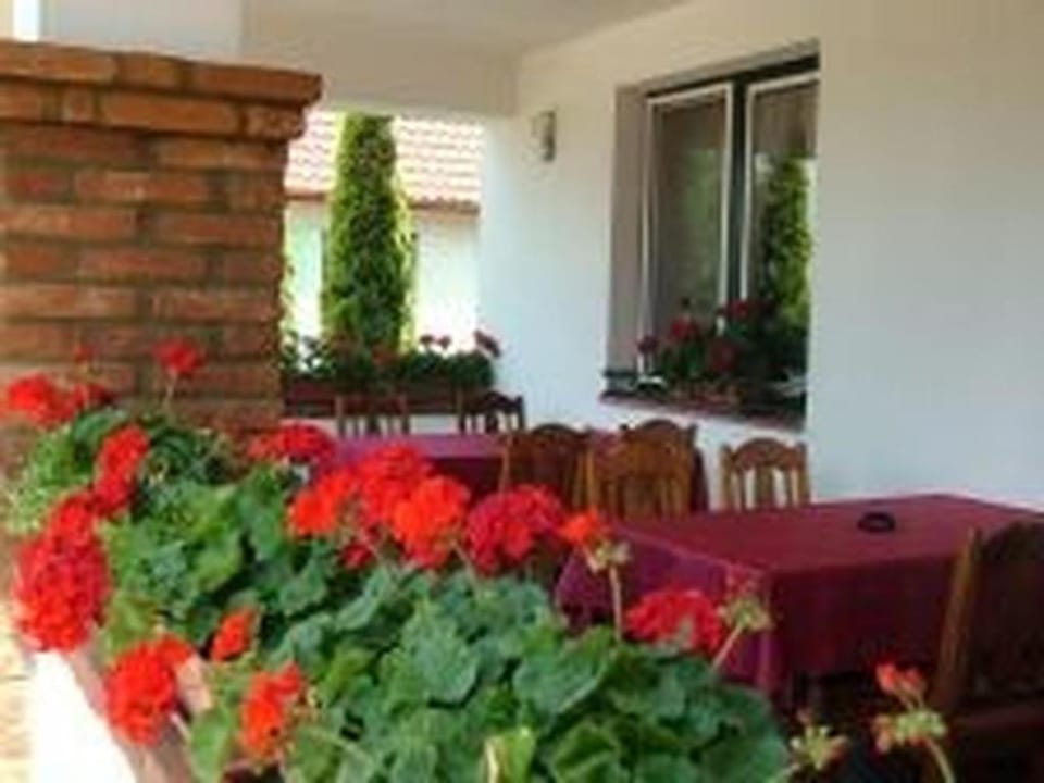 Verba Tanya Bed and Breakfast in Slovakia