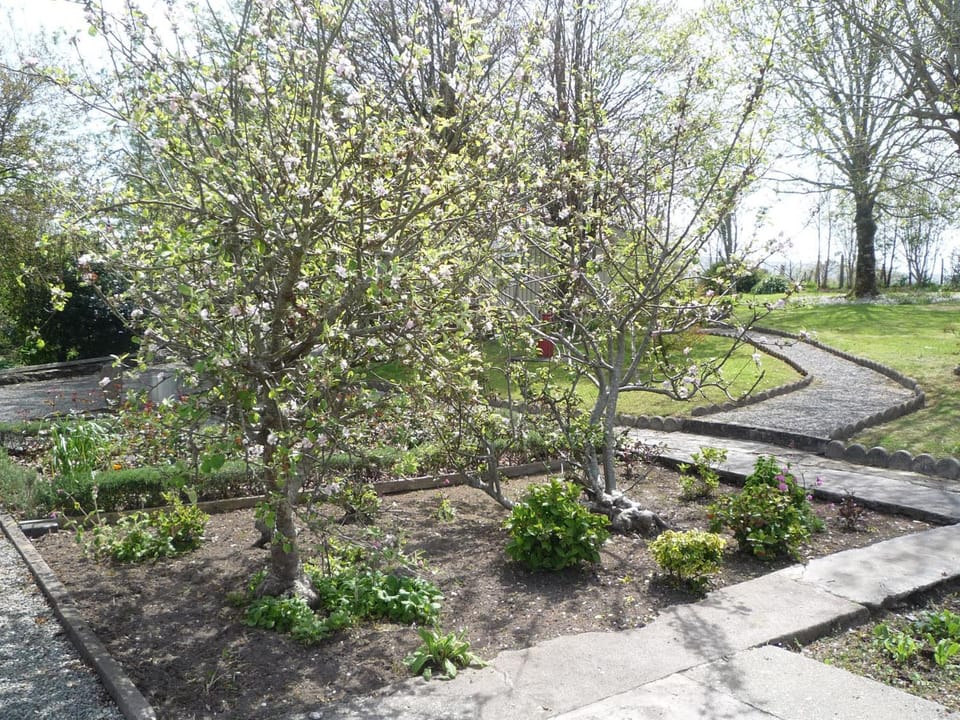 Patio, Garden, Garden view