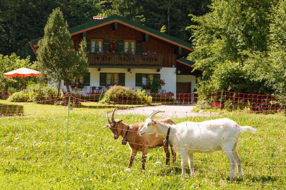 Ferienwohnung Hinterreiter inkl. Chiemgaukarte Apartment in Ruhpolding