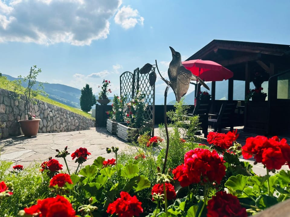 Day, Garden view