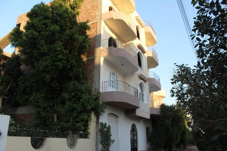 Property building, Day