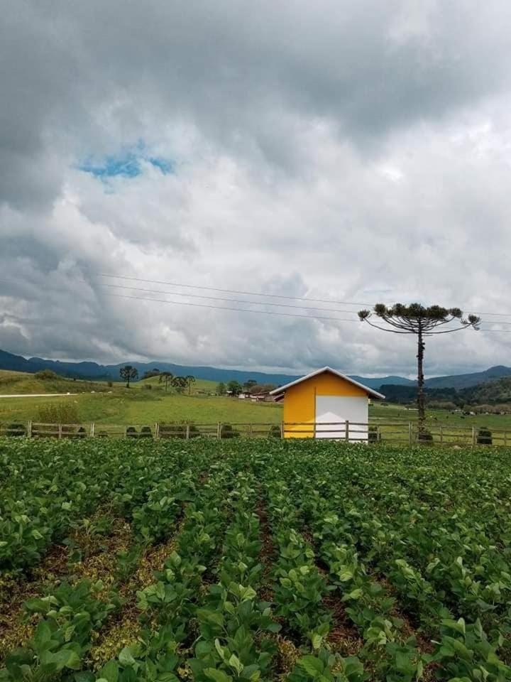 Cabana Caminho das Borboletas Bed and Breakfast in State of Santa Catarina