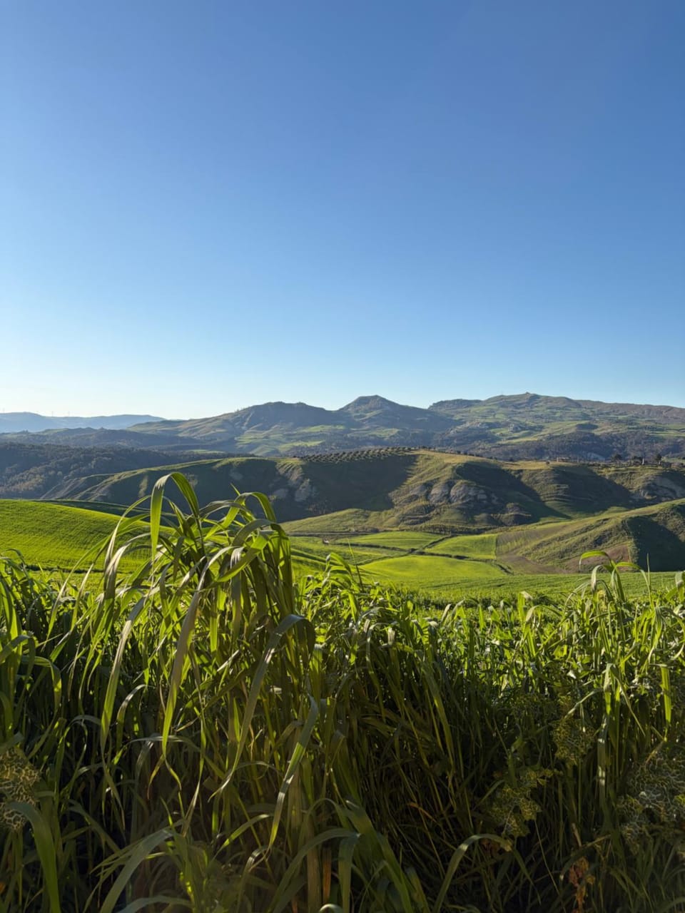 L' Antica Trebbia - Rooms Farm Stay in Sicily