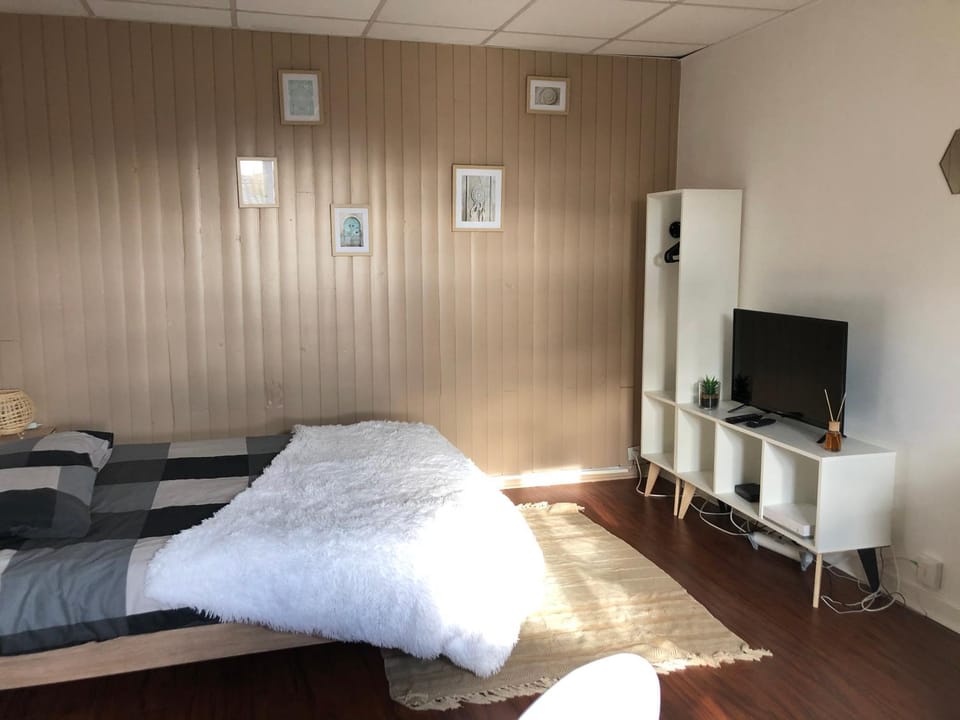 Le printemps de mélusine Apartment in Pays de la Loire