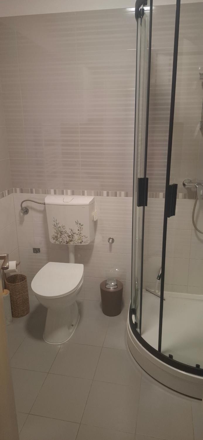 Shower, Toilet, Bathroom, towels