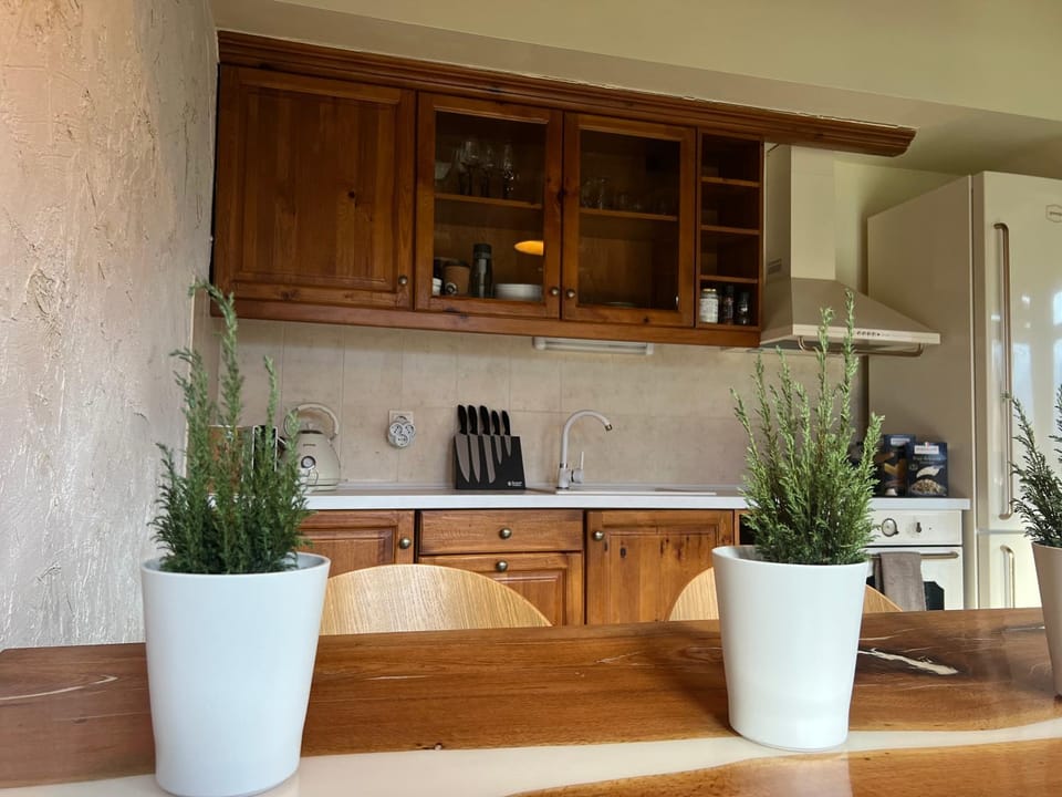 Katarino Spa Chalet Chalet in Blagoevgrad Province