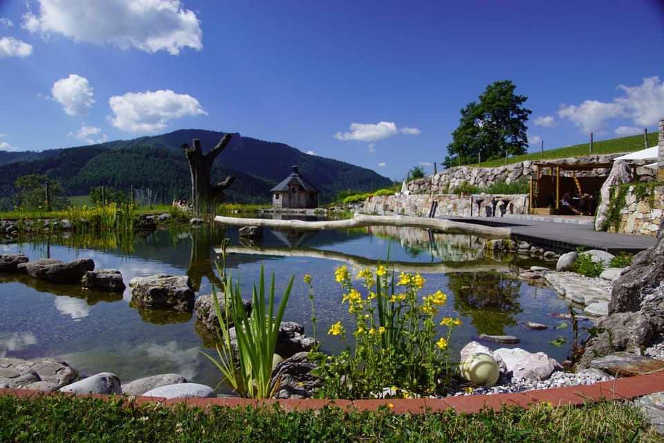Lake view, Swimming pool