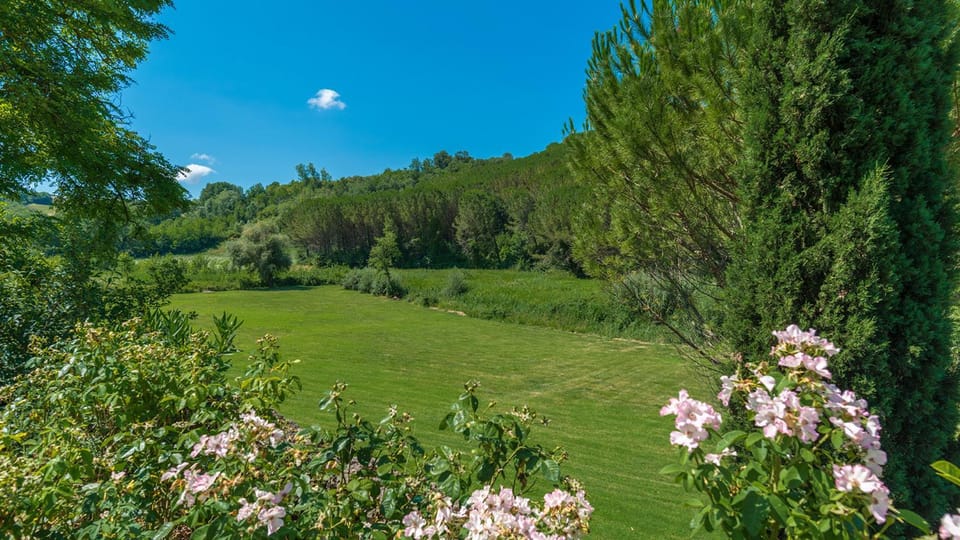 Natural landscape, View (from property/room)