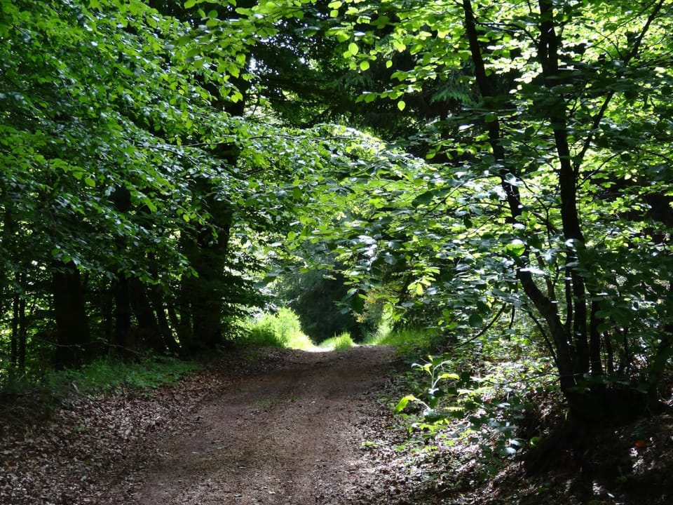 Hiking, Cycling