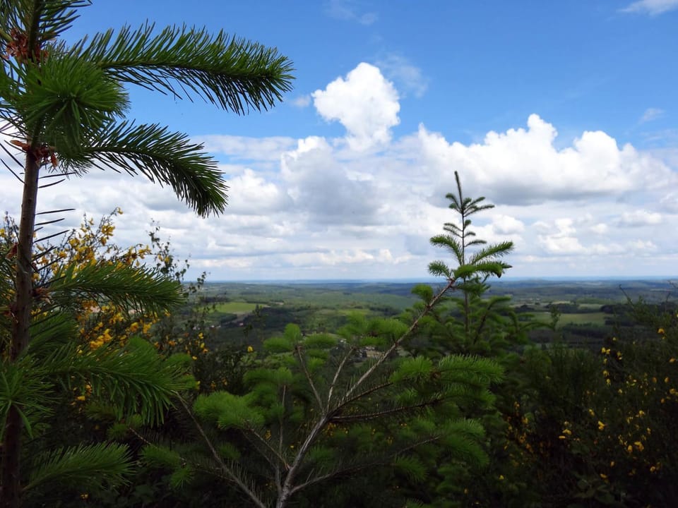 Hiking, Cycling