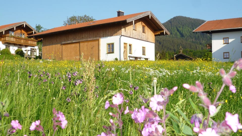 Fembacherhof Farm Stay in Berchtesgadener Land
