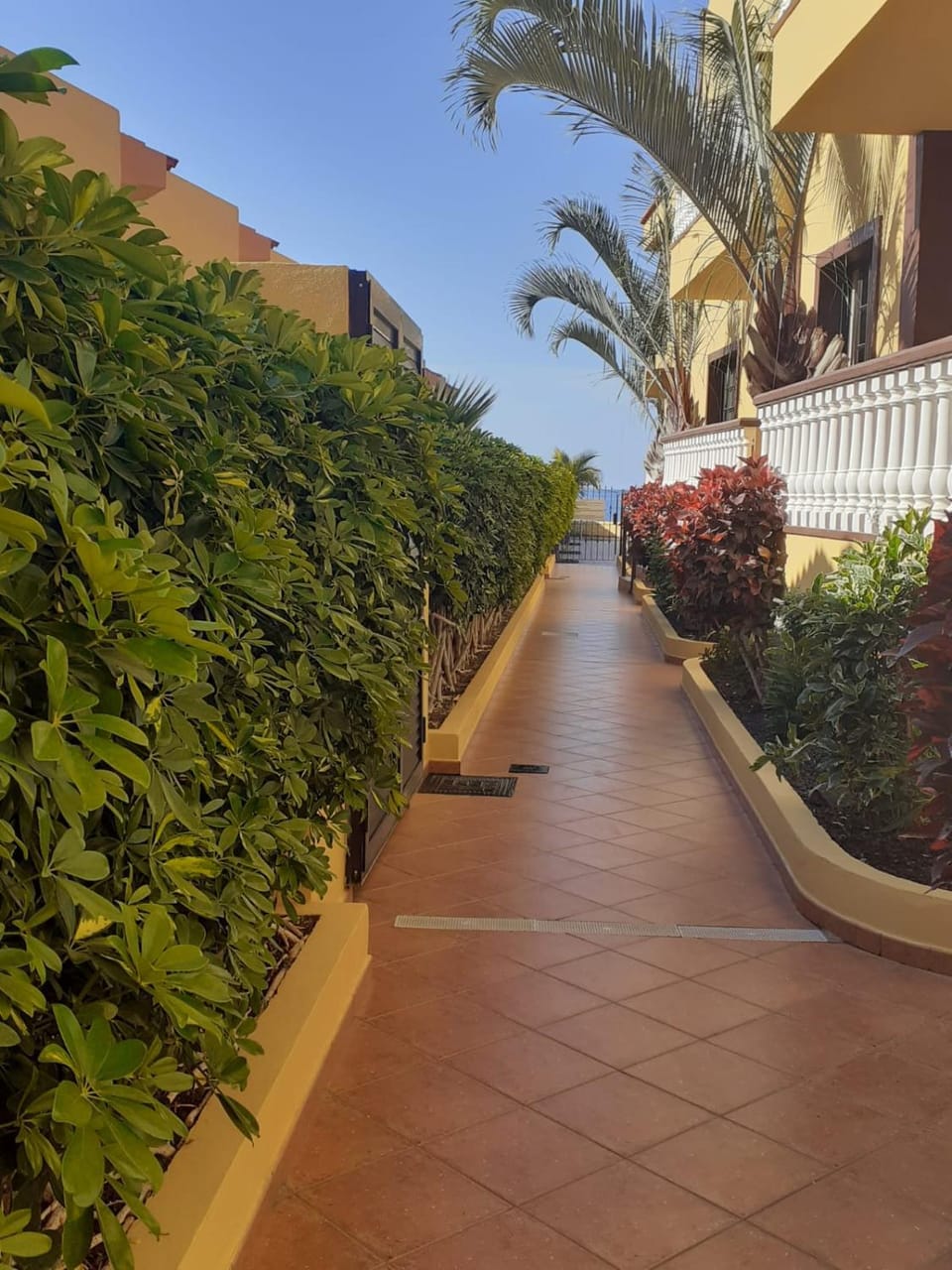 SUNSET HOUSE EL Cieno 10A Apartment in La Gomera