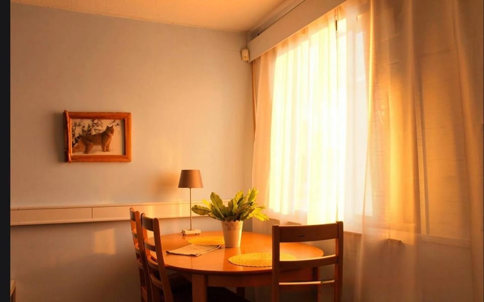 Scandinavian Dream Guesthouse and Apartments Apartment in Rovaniemi