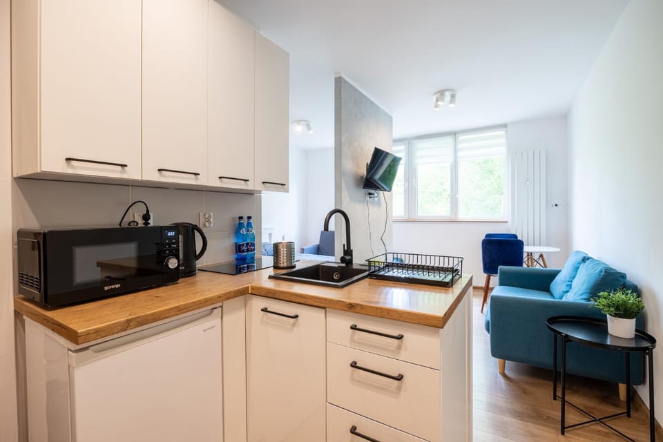 Kitchen or kitchenette, microwave, stove