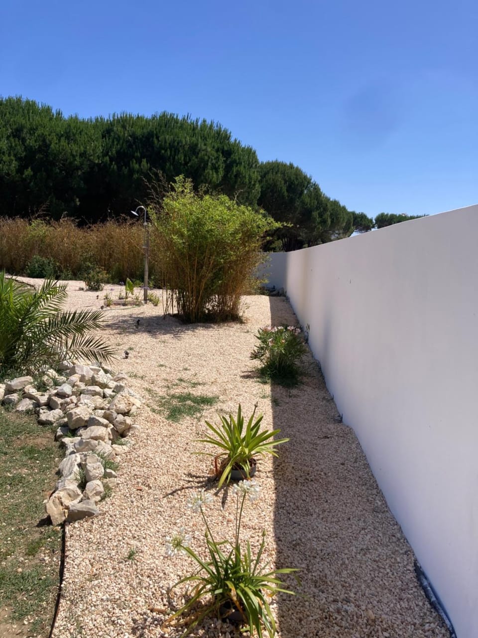 Pine 3 Inn, holiday home, activities and more House in Portugal