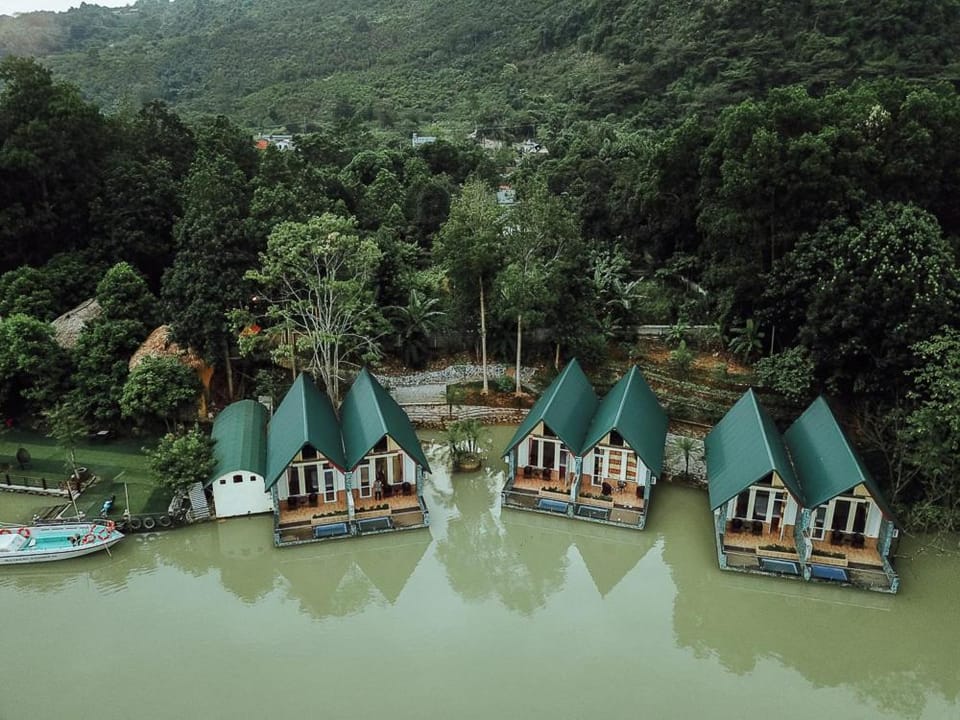 Property building, Neighbourhood, Bird's eye view