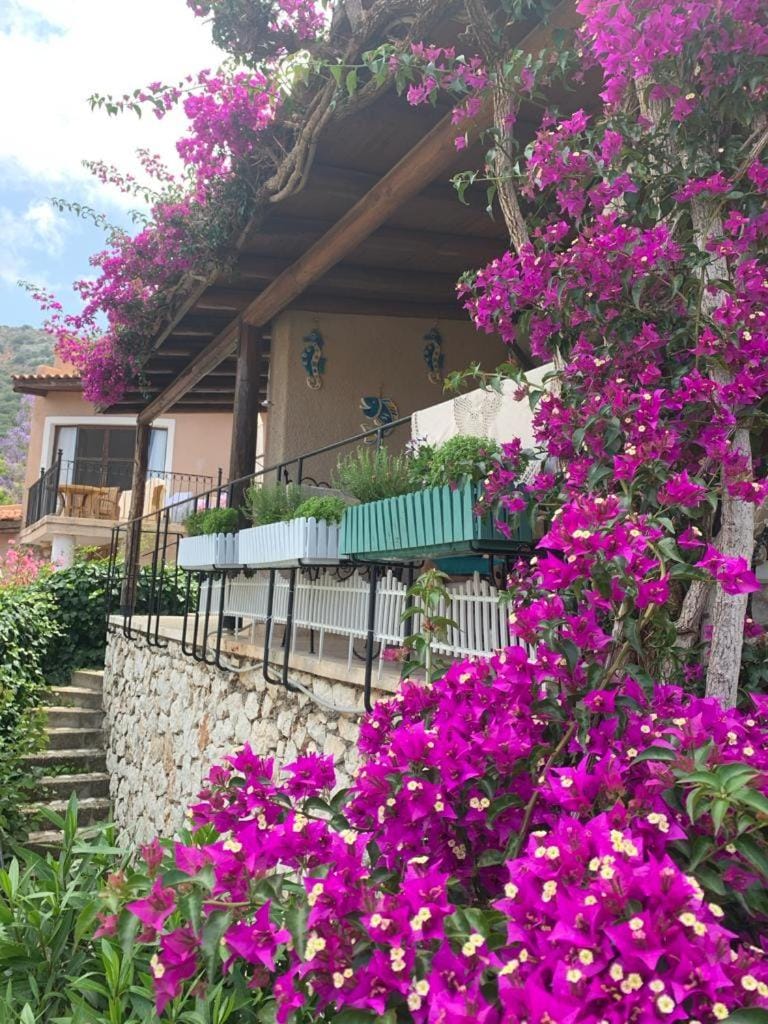 Property building, Balcony/Terrace, Dining area, Garden view