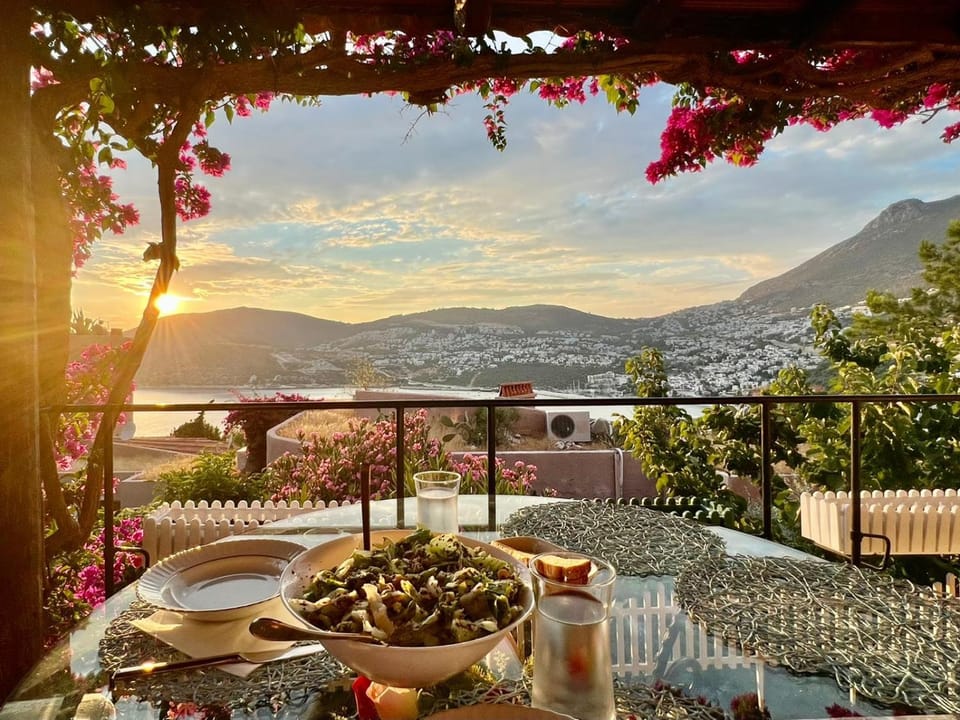 Patio, Balcony/Terrace, Dining area