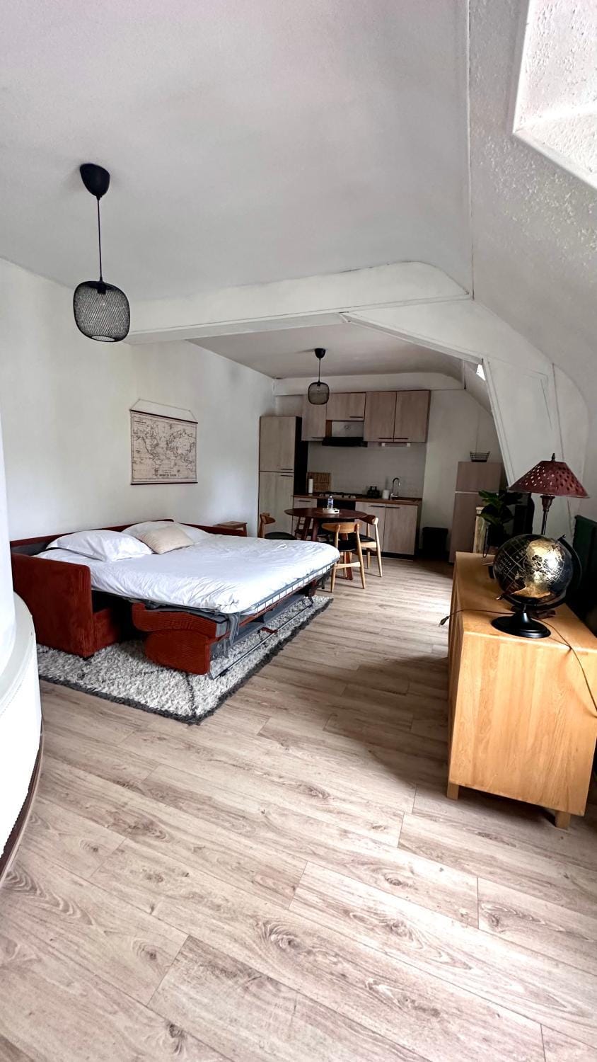 Appartement Centre ville Le blanc Apartment in Centre-Val de Loire