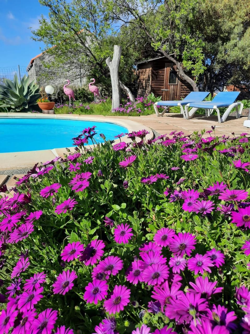 Casita Miramar Apartment in La Palma