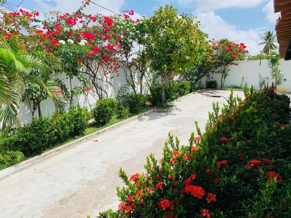 Natural landscape, Garden