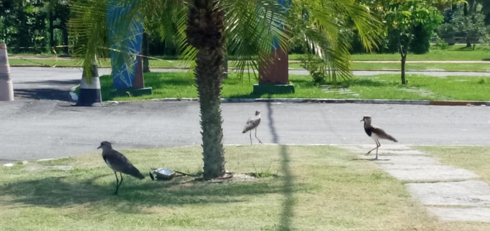 Sahy - Aldeia dos Reis, Condado - Apartamento Quarto e Sala Apartment in Mangaratiba