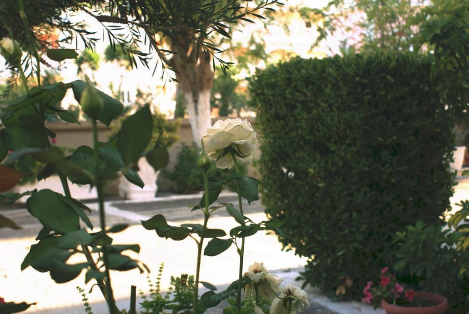 Garden, Area and facilities