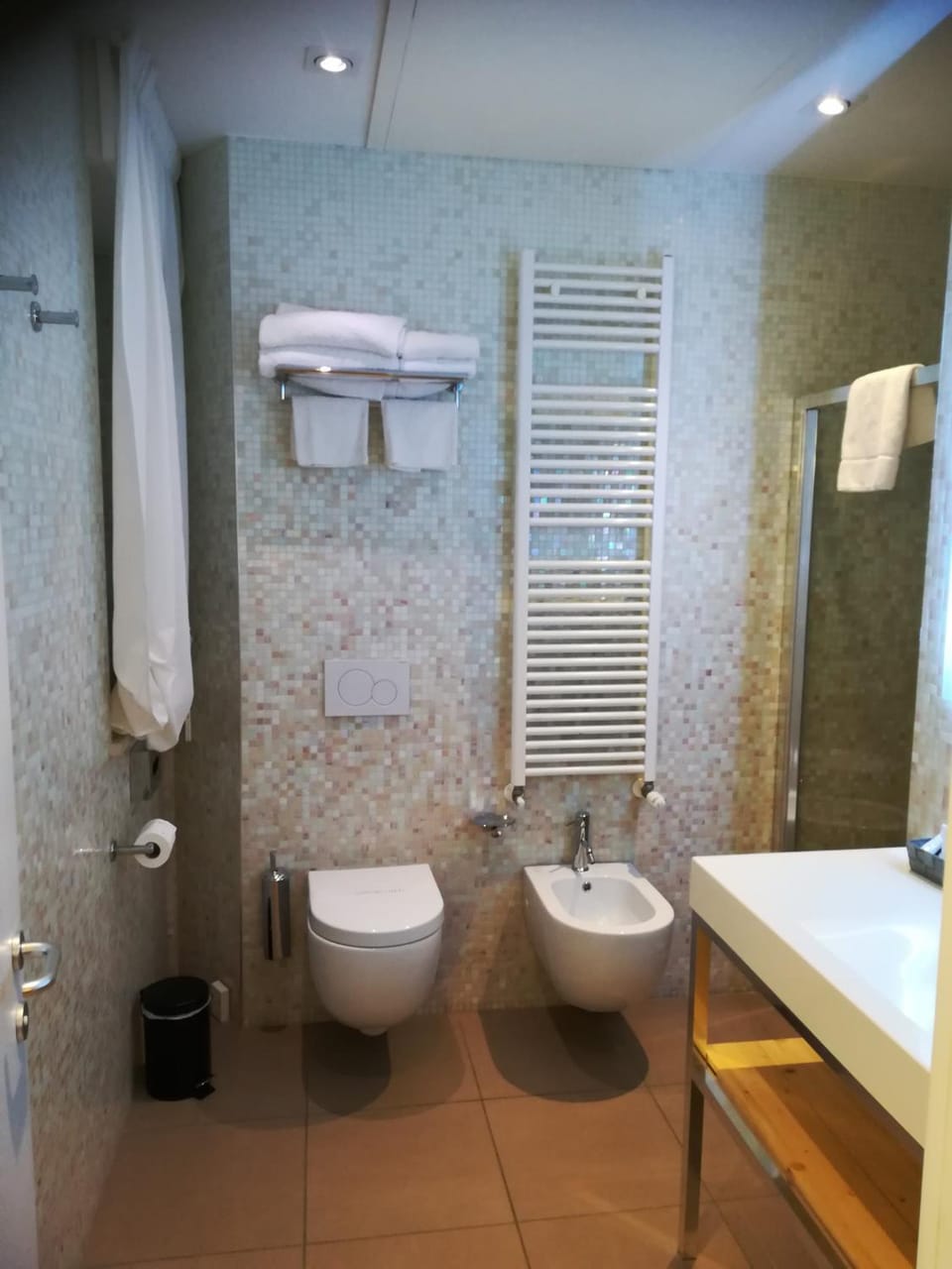 Shower, Toilet, Bathroom, bidet