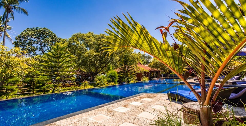 Pool view, Swimming pool