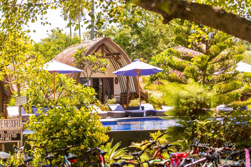 Property building, Garden, Pool view, Swimming pool, sunbed