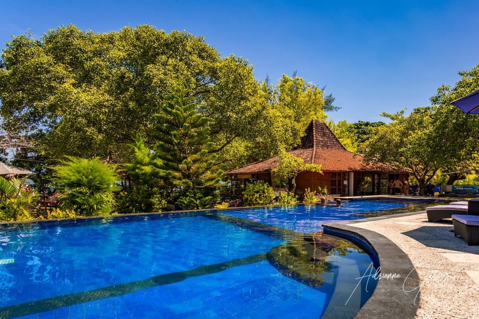 Pool view, Swimming pool, Swimming pool, sunbed