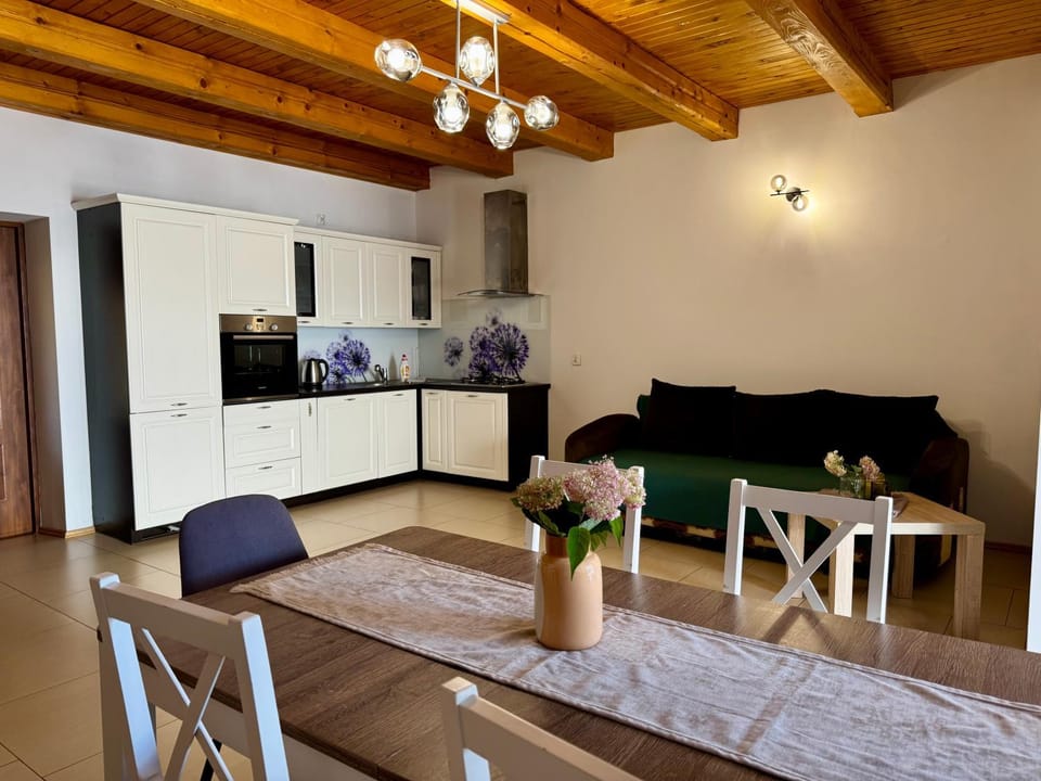 Pod skrzydłami IV Apartment in Poland