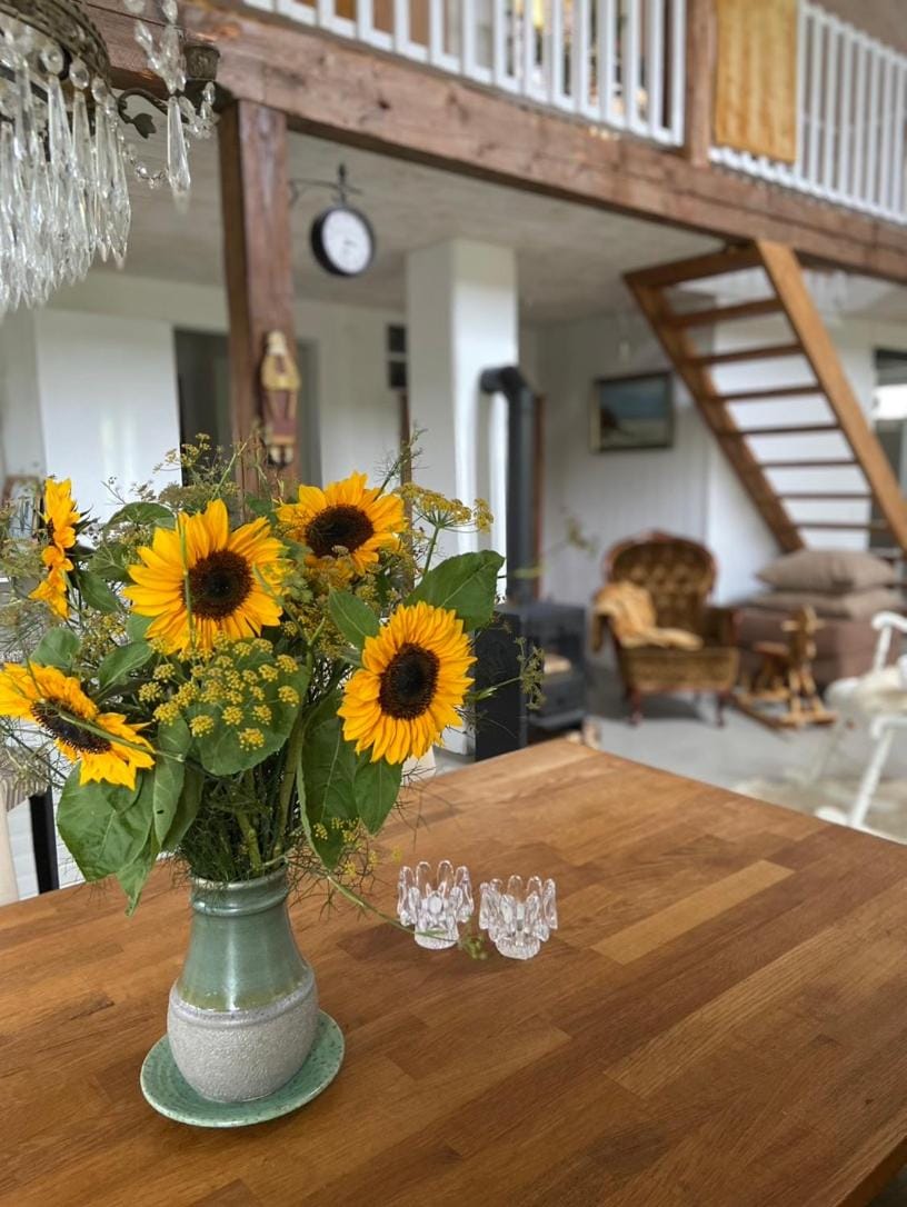 Blomstertantens Hus House in Skåne County