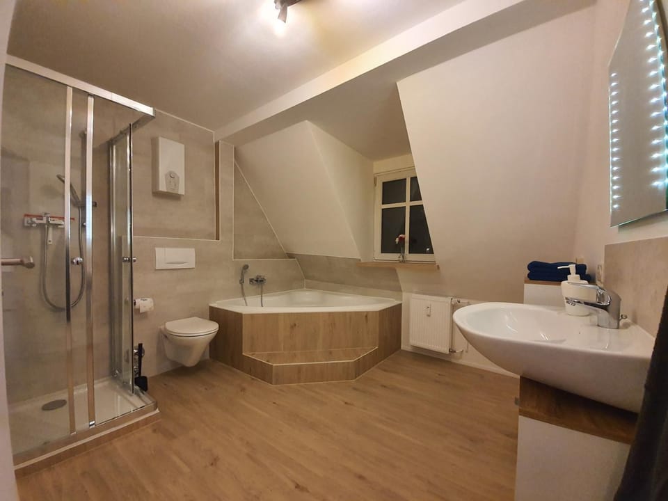 Gemütliche Dachwohnung mit kleiner oder großer Dachterrasse nebeneinander Apartment in Saxony-Anhalt, Germany