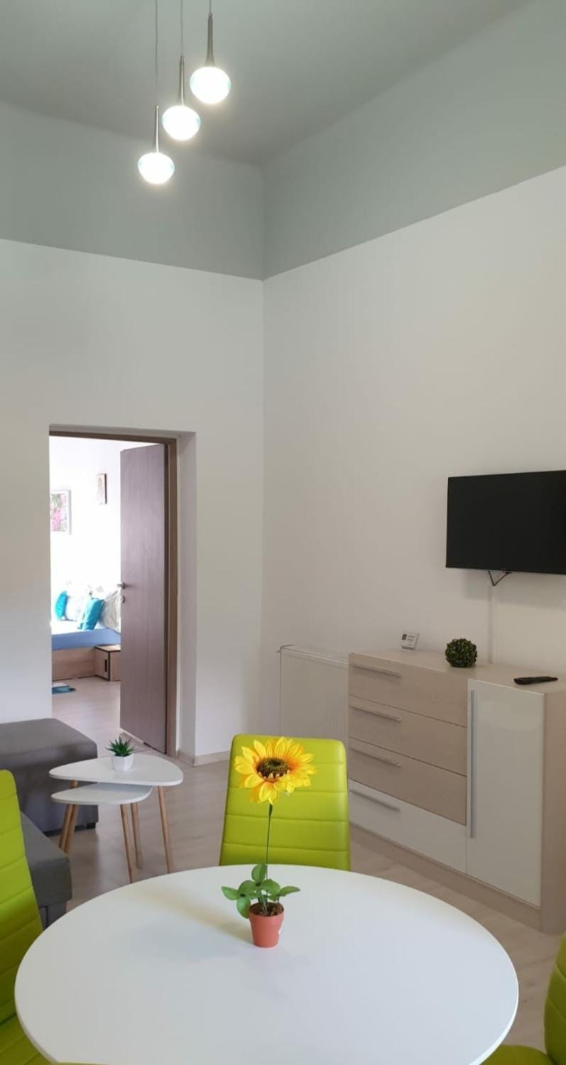 APARTAMENT EMMA Apartment in Sibiu