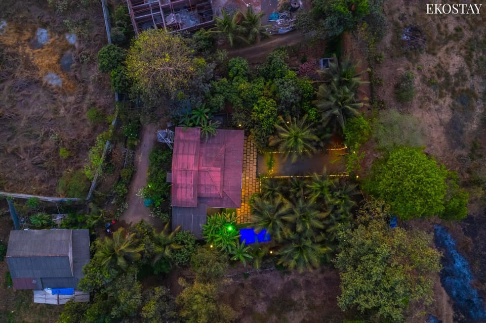 Spring, Day, Natural landscape, Bird's eye view, Garden, Garden view