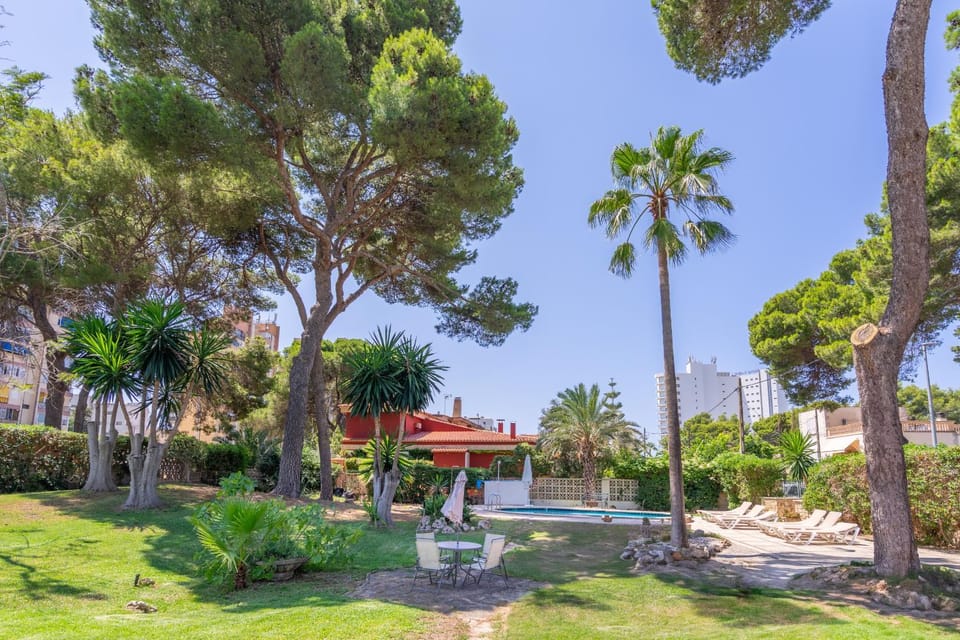 Patio, Garden, Garden view
