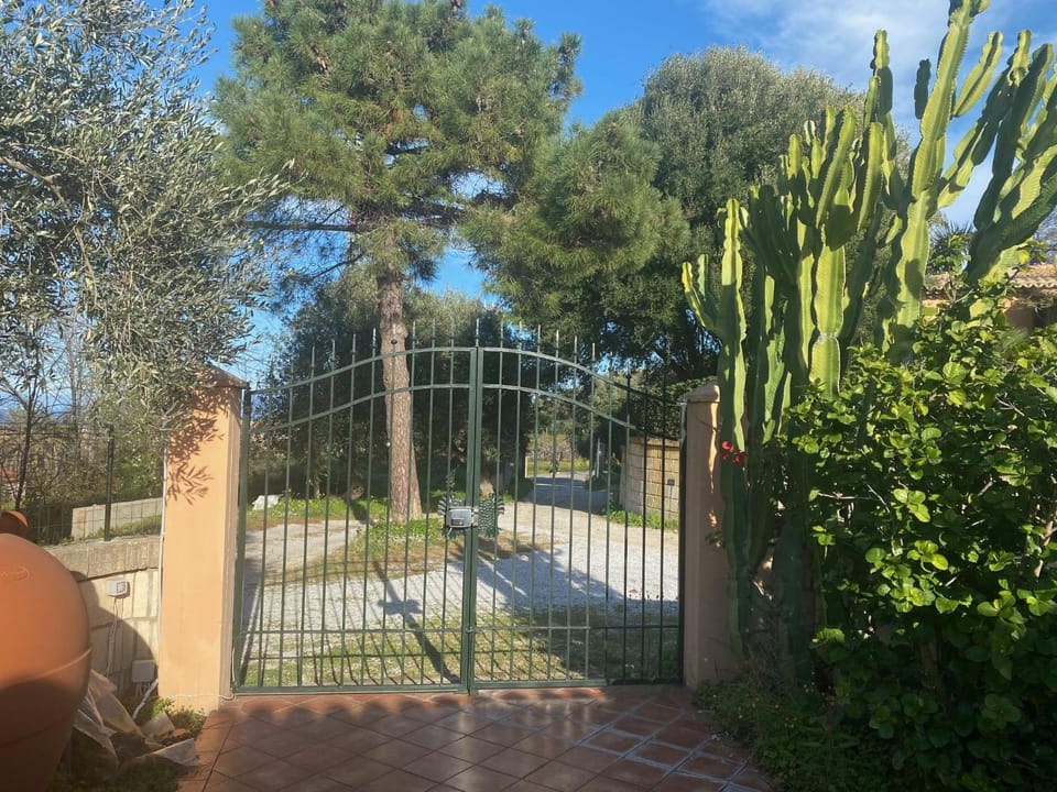 Garden, Garden