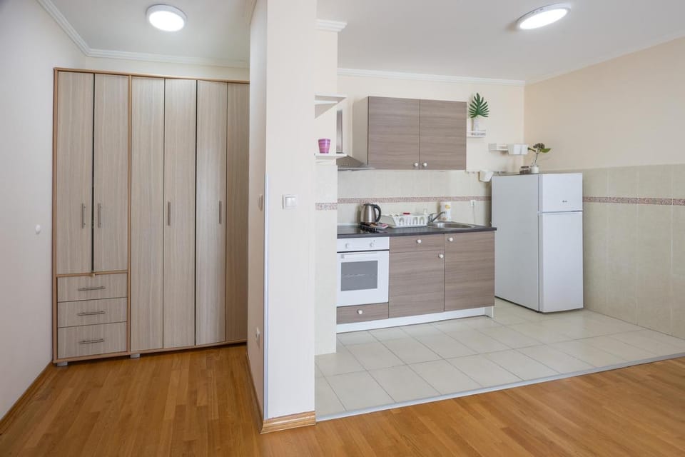 Kitchen or kitchenette, oven, stove, wardrobe