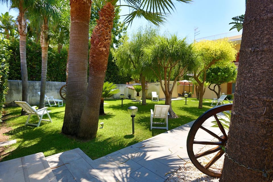 Garden, Solarium, Garden view