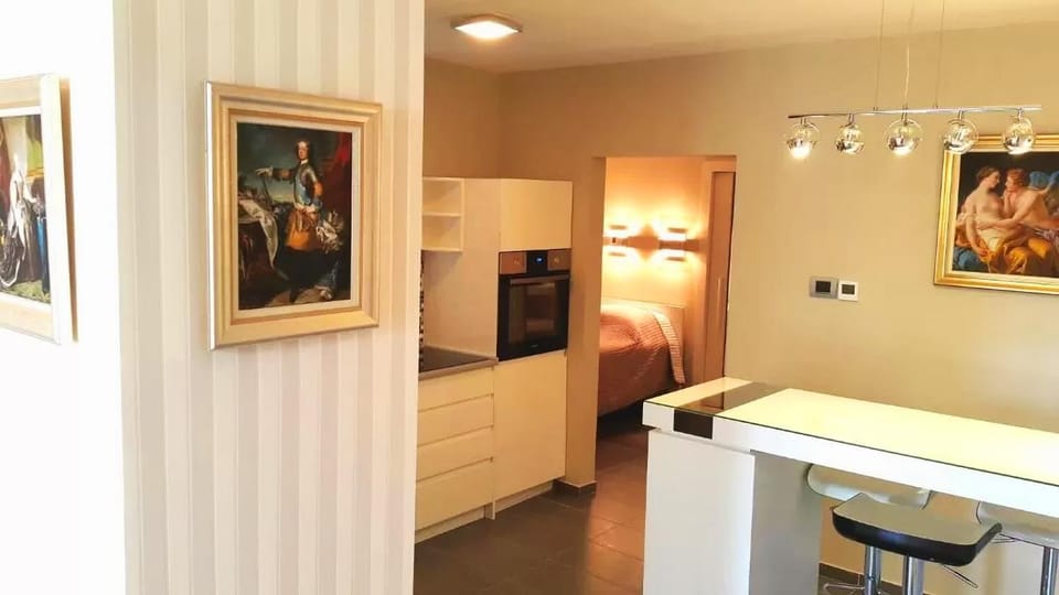 Terranova Apartment (city central) Apartment in Belgrade