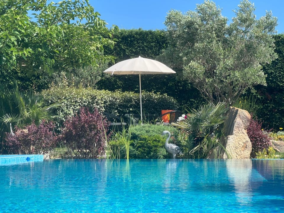 Garden, Garden view, Pool view, Swimming pool