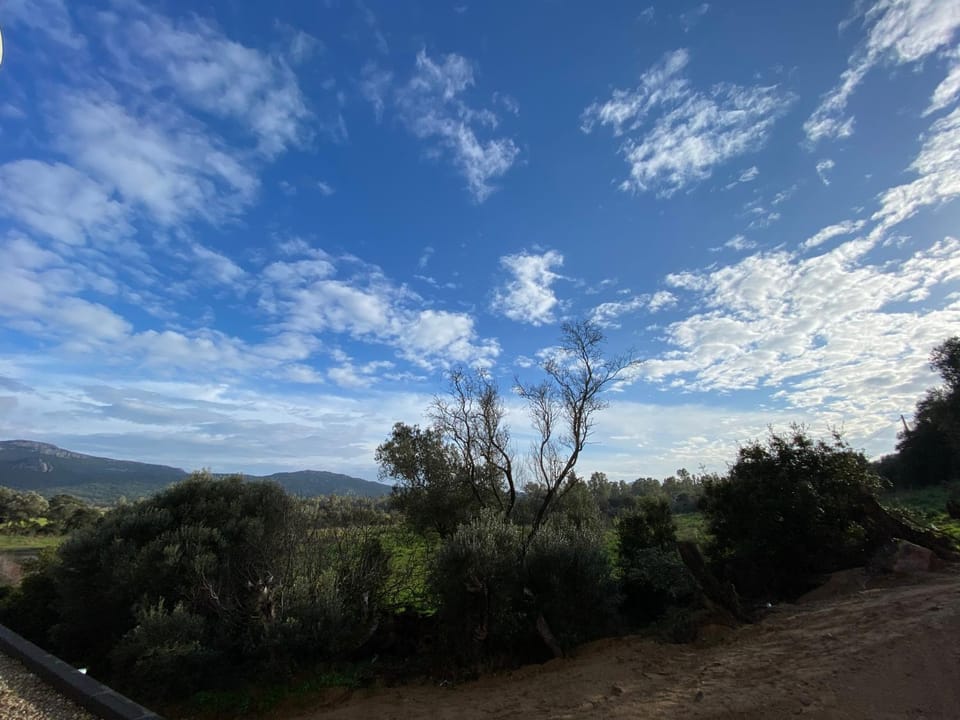 Mountain view