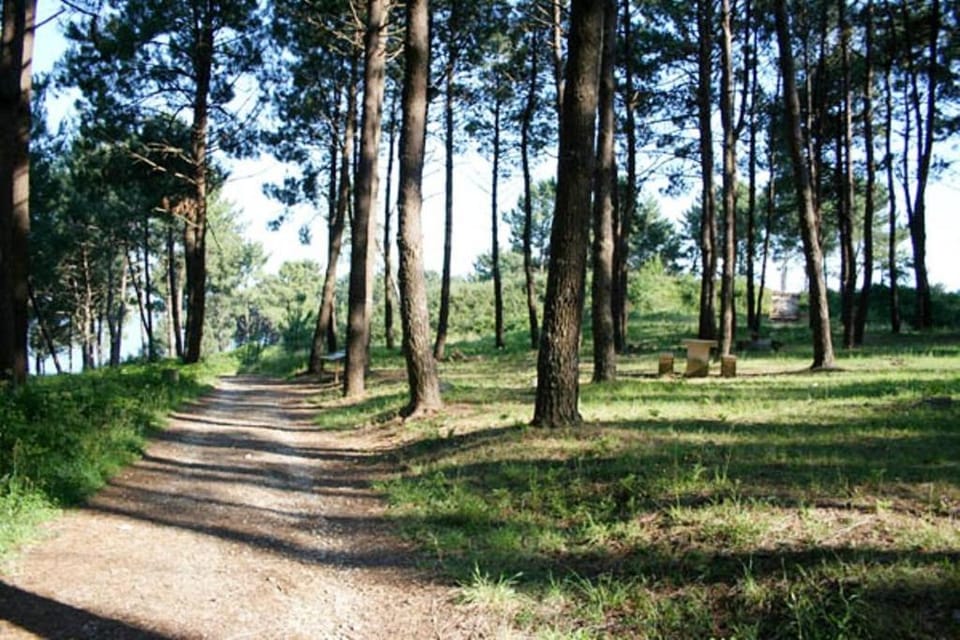 Area and facilities