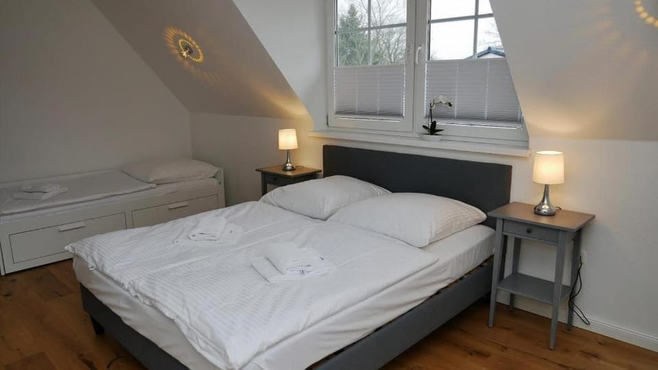 Windflüchter Treibholz Apartment in Prerow