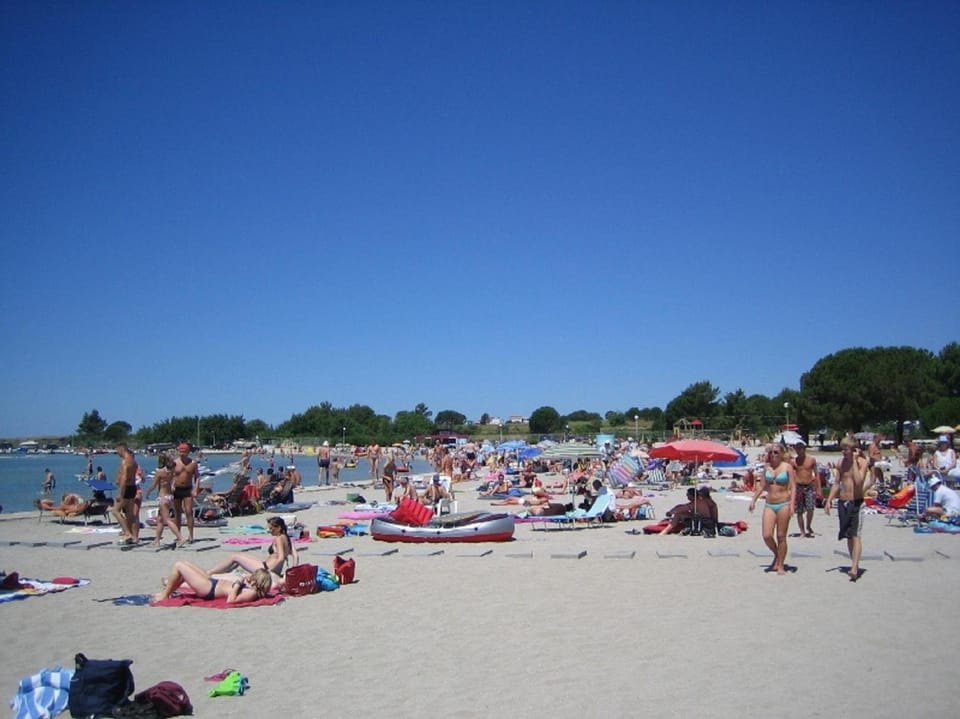 Fishing, Snorkeling, Windsurfing, Diving