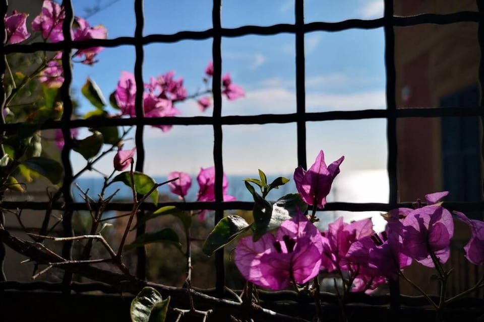 La Casa di Milly Apartment in Liguria
