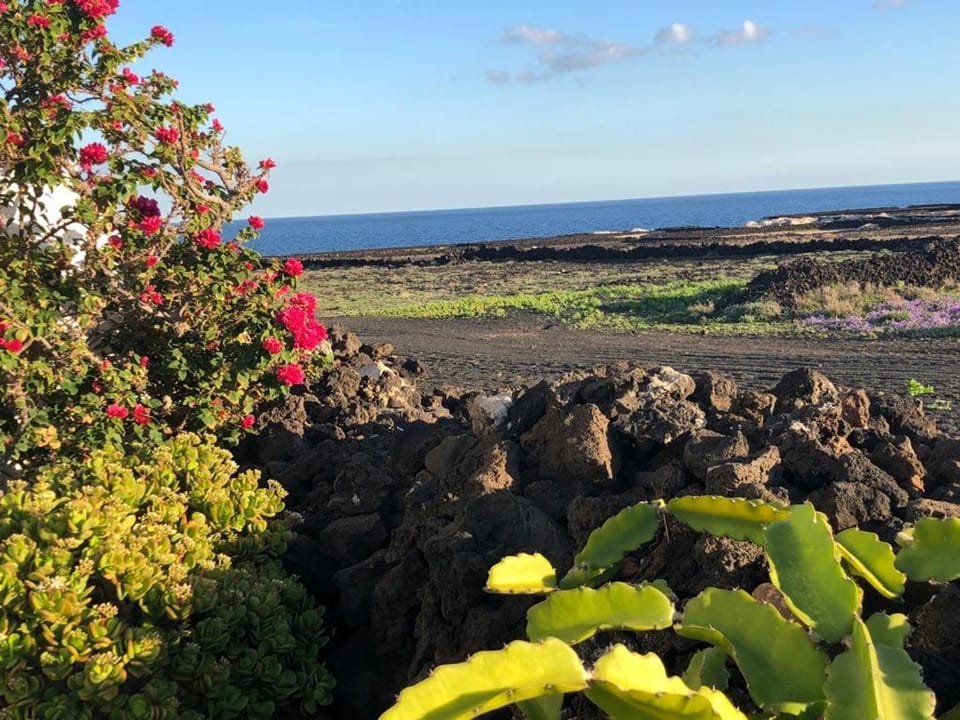 Natural landscape, Beach, Sea view