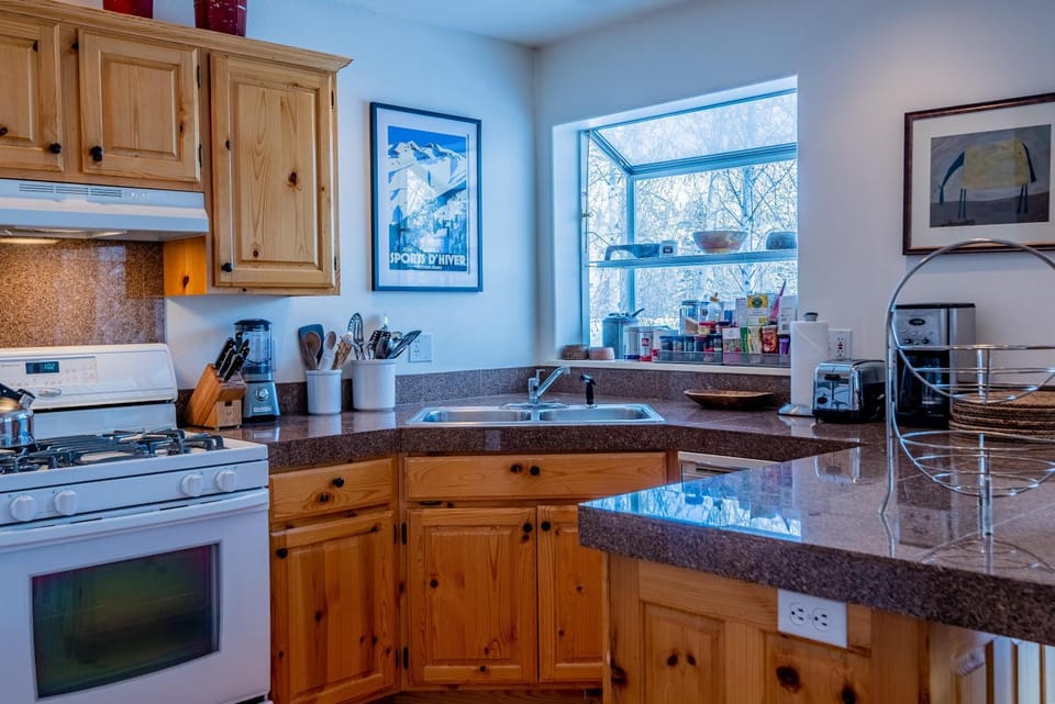 Sunbird Condo 9 House in Ketchum